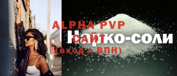 хмурый Пересвет