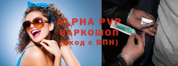 хмурый Пересвет