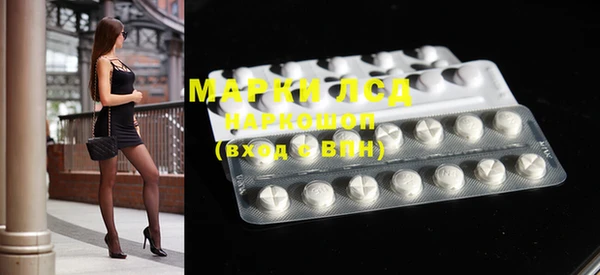 хмурый Пересвет