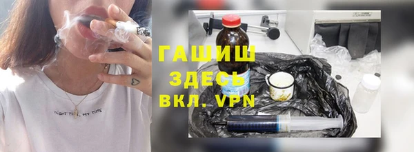 хмурый Пересвет
