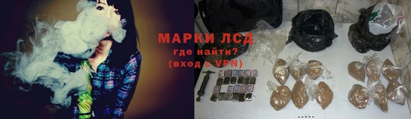хмурый Пересвет