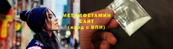 хмурый Пересвет