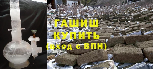 хмурый Пересвет