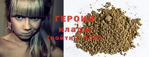 хмурый Пересвет