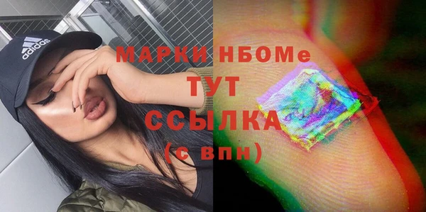 хмурый Пересвет